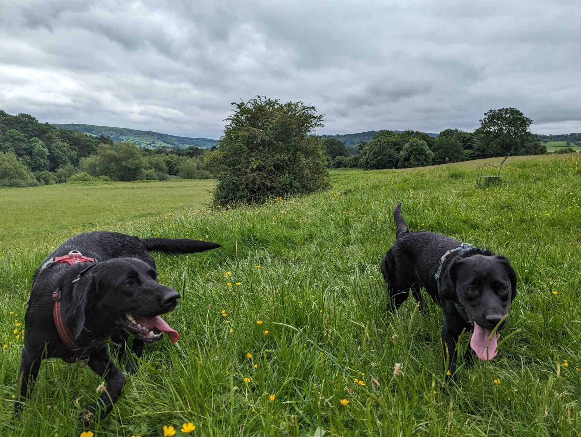 The Agents House, Bed & Breakfast Whitney-on-Wye Luaran gambar